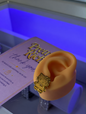 Golden Kitty Doll Studs